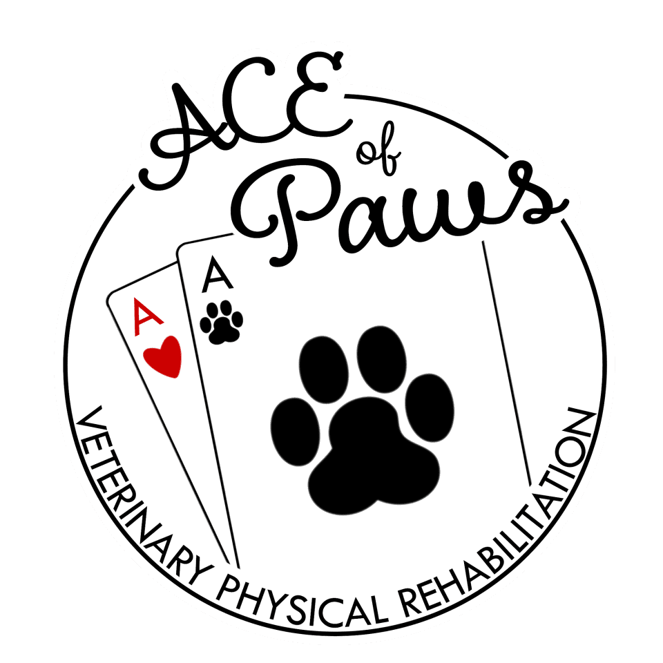 Ace of Paws Veterinary Physical Rehabilitation Therapy