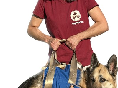MedicMutts Tripawd Dog Amputation Recovery Sling