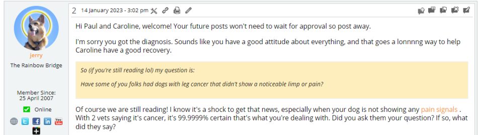 How volunteer forums moderators help Tripawds members