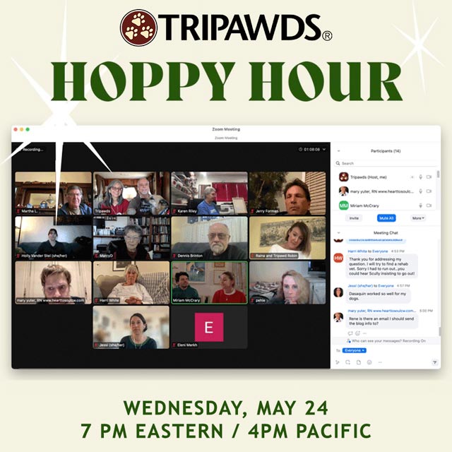 hoppy hour