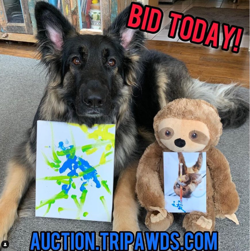 dog and sloth paint art for amputee dogs and cats