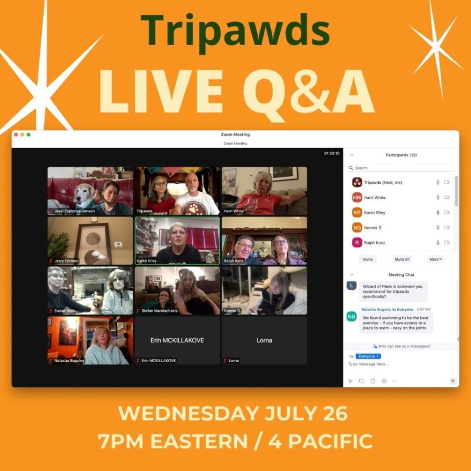 Tripawds Live Q&A call on Zoom
