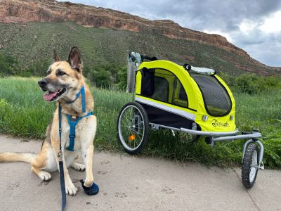Nellie's Tripawd dog stroller