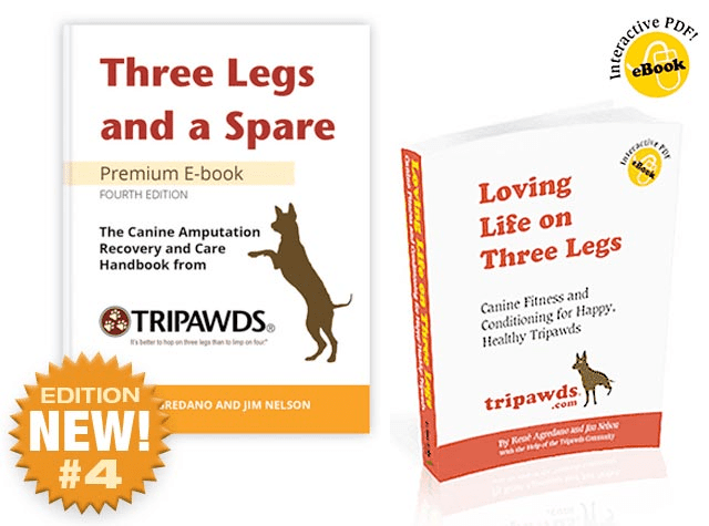 Tripawd fitness tips handbooks