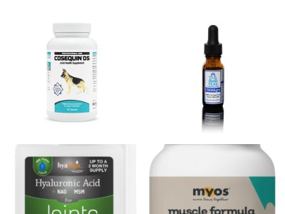 more joint health supplement tips for bigger, older, three legged dogs.