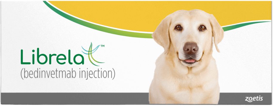 Librela Tripawd arthritis pain medication NSAID alternative