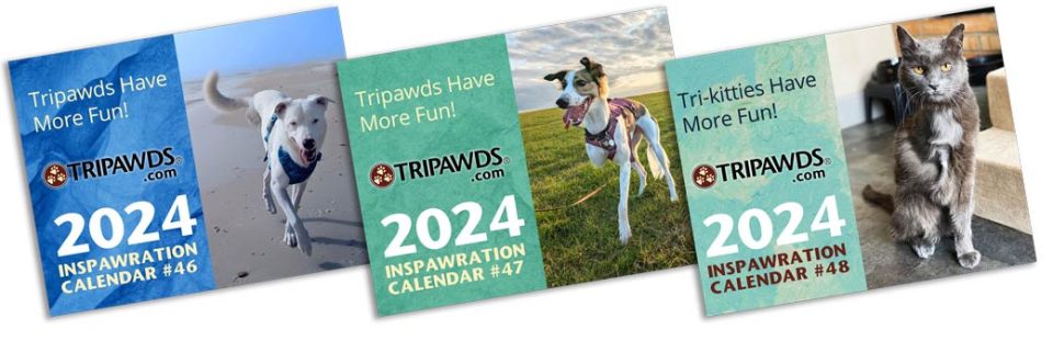 Order your 2024 Tripawd Dog and Cat Calendars!