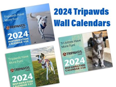 2024 Tripawds Calendars