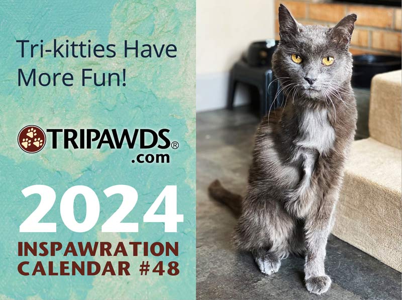2024 Tripawds Cat Calendar 48