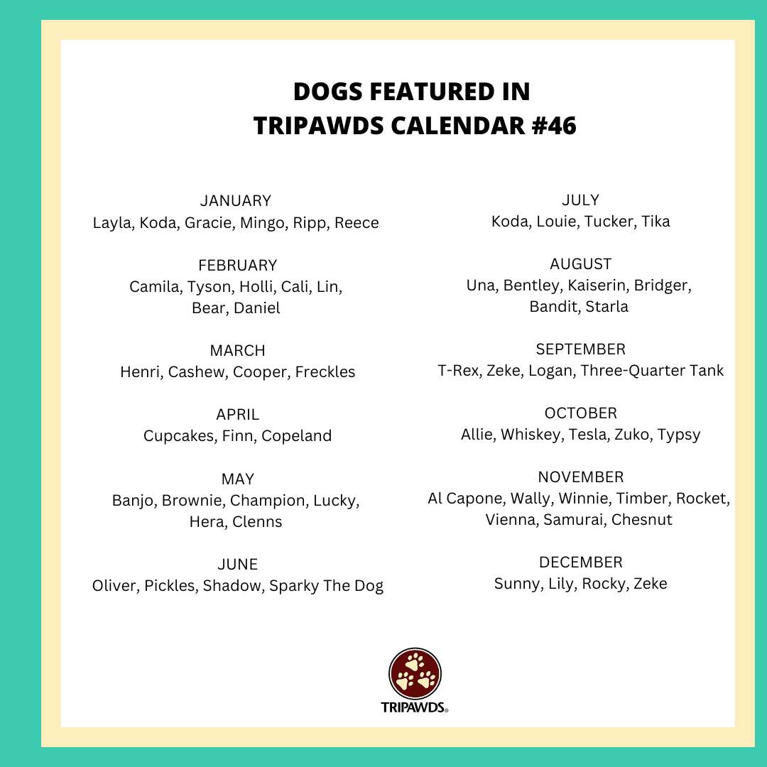 Tripawd Dog 2024 Calendar 46