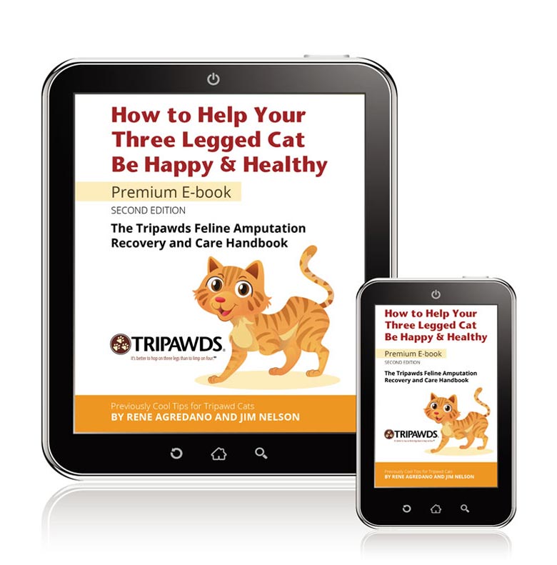 trikitty book