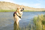 Jerry enjoys the S. Platte river near Sinclair, WY