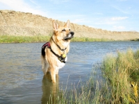 Jerry enjoys the S. Platte river near Sinclair, WY