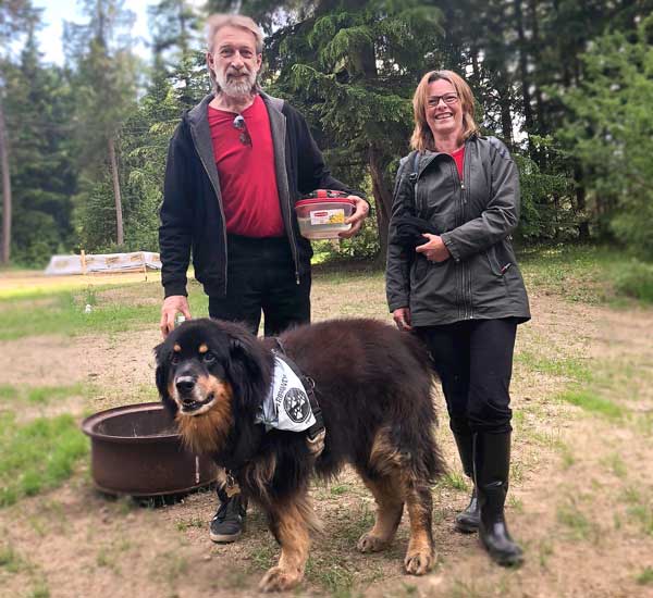 Stewie and Allensong visit Tripawds HQ