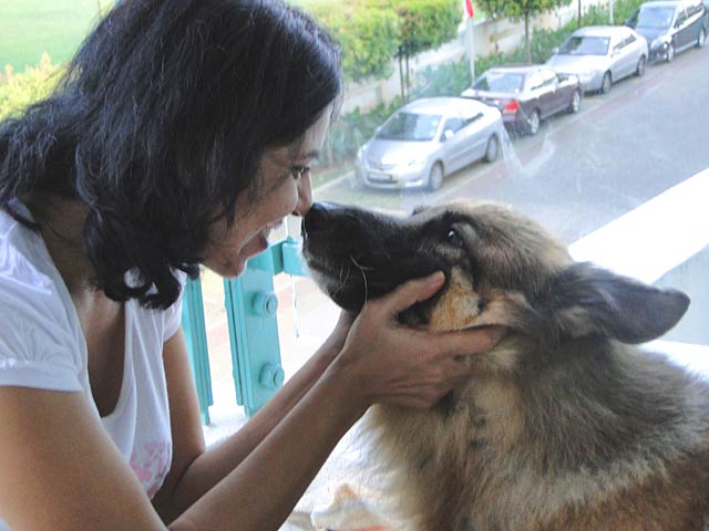 Roop says goodbye to Dodger in Singapore