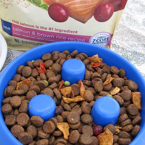 Nature's Recipe Pure Essentials Dry Dog Food Review