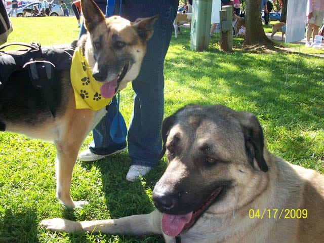 Tripod Cancer Heroes Cemil and Montana