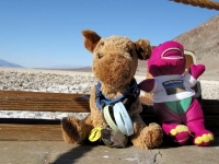Spirit Jerry and Barney at Badwater Death Valley, CA