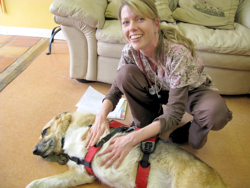 Dr. Mullins performs Reiki during dog cancer checkup