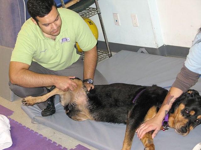 Rehab Therapy for for Lucy at CARE