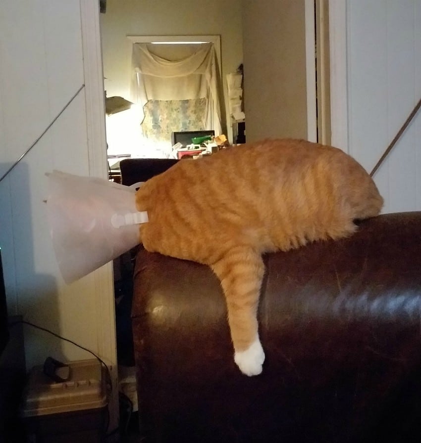 Duct Taped Recovery Cone