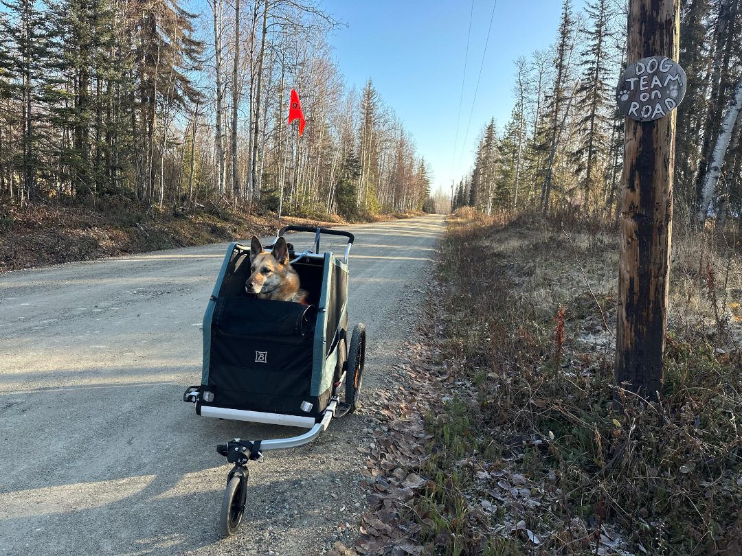 Testing the Bark Ranger dog stroller on dirt and gravel.