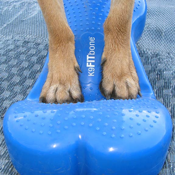 K9 FITBone, Tripawd, exercise