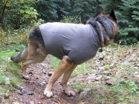 Wyatt models Ruff Wear Climate Changer Dog Sweater
