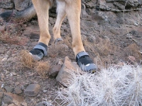 Ruffwear Grip Trex Dog Boots
