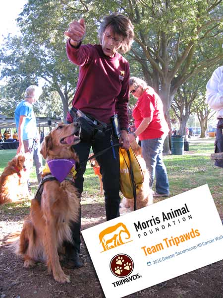 Tripawd heroes are unstoppable!