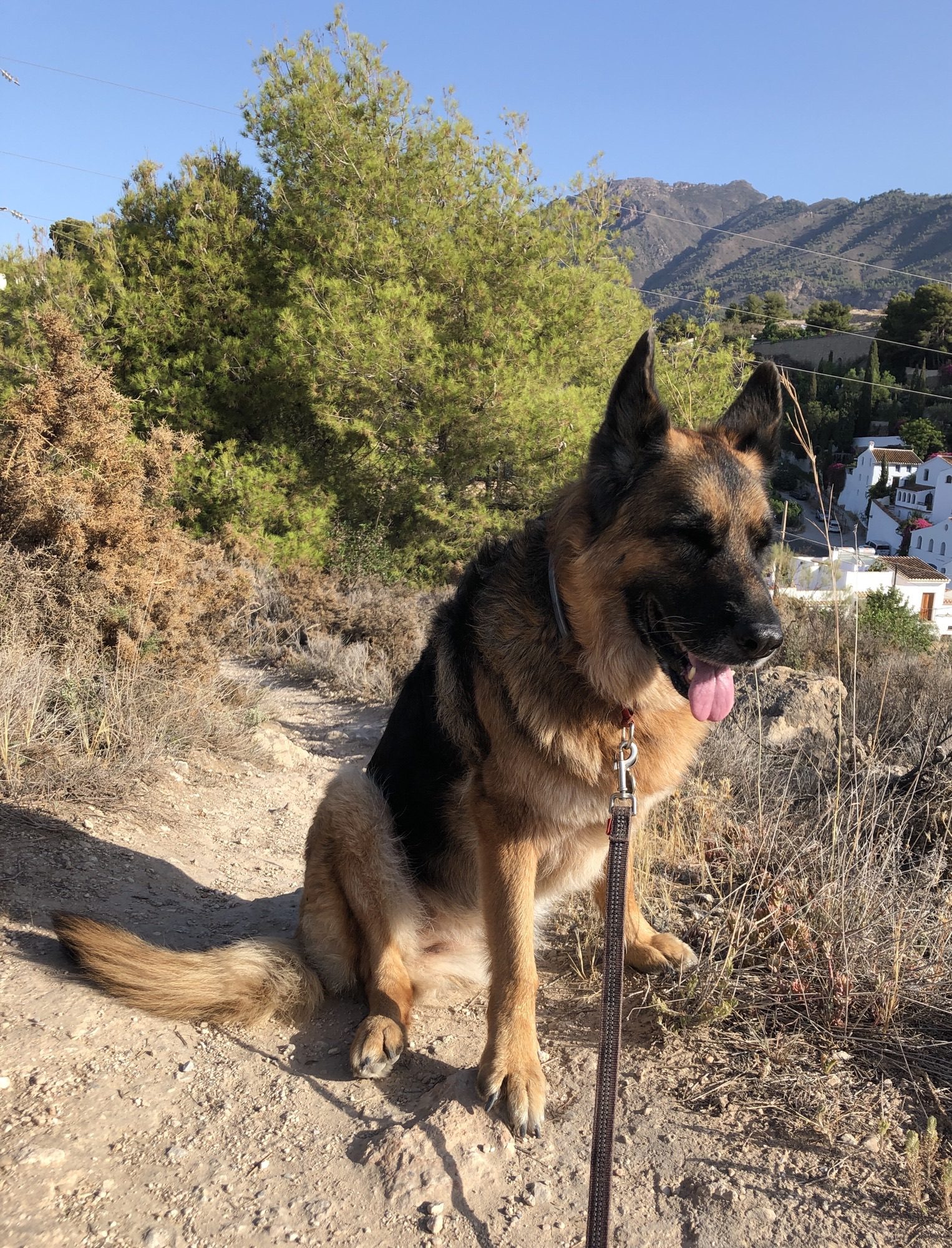 Luca continues short hikes in good weather.