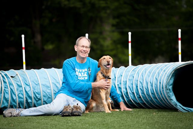 Tripawd, dog, agility