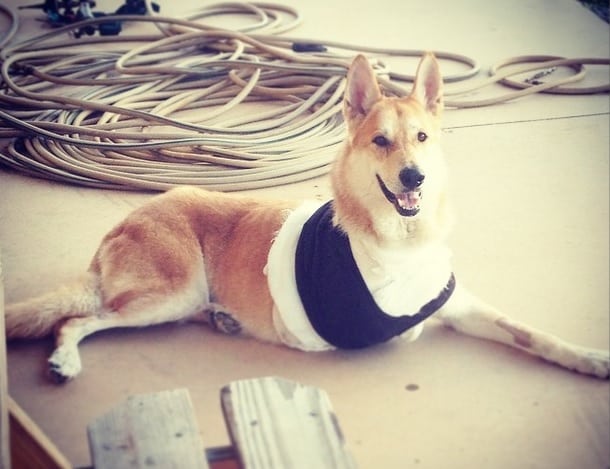 Kawi recovers
