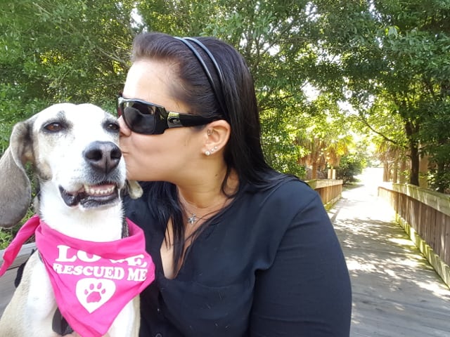 Tripawd rescue Sophia