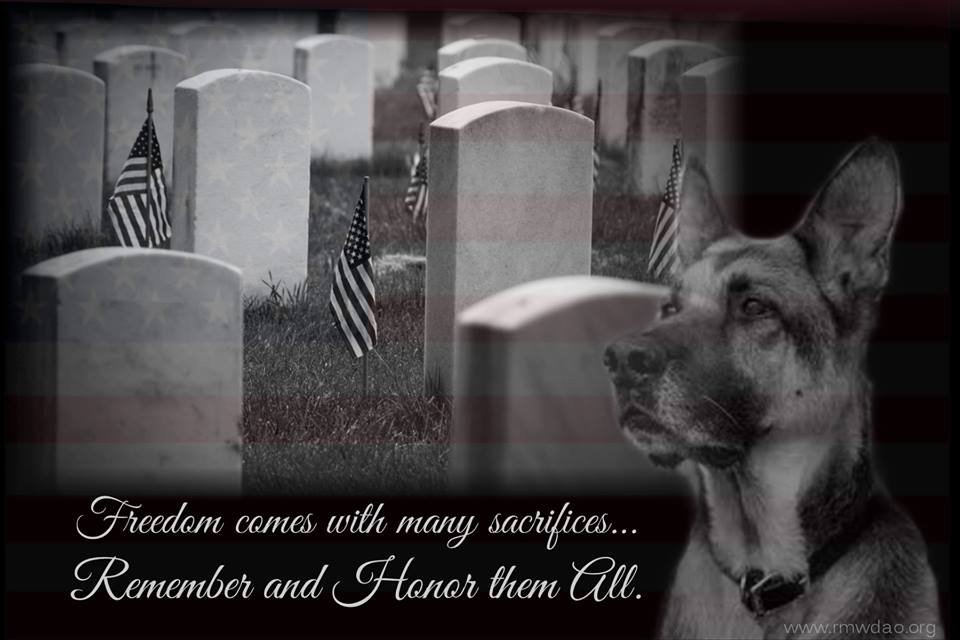 Retired Military Working Dogs Salute