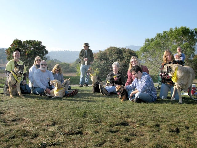 Mill Valley Dog Park Tripawd Party