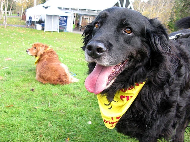 Sammy and Lincoln