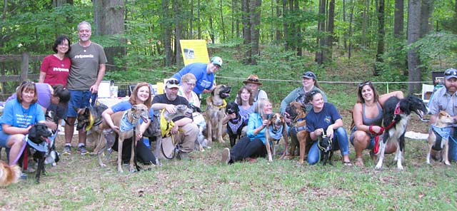 Greyhounds Rock Tripawds Fredericksburg VA
