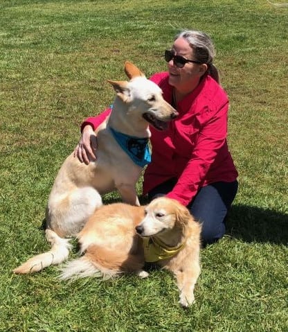 Tripawd Tuesday spotlight