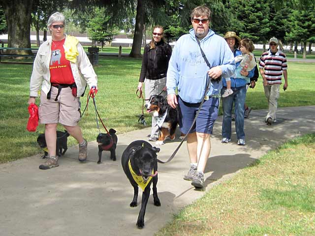 Team Tripawds at Morris Animal Foundation K9 Cancer Walk