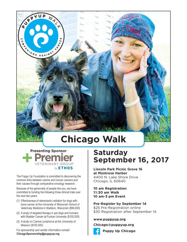 tripawds Puppy Up Chicago tripawds Puppy Up Chicago
